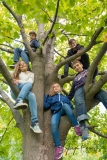 Enfants dans l'arbres